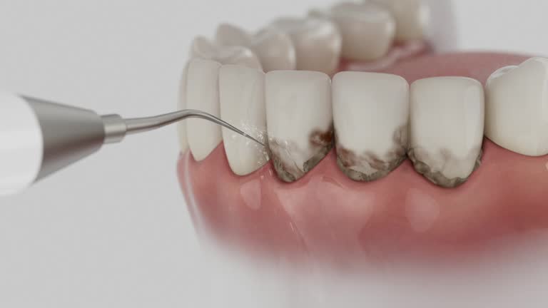 Reliable Dental contractor in Luxemburg, WI by Dentist Open Now